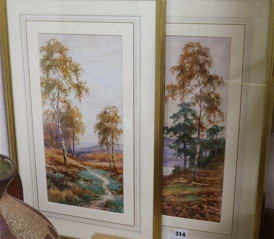 Lester James, pair of watercolours, Highland landscapes, signed, 39 x 19cm